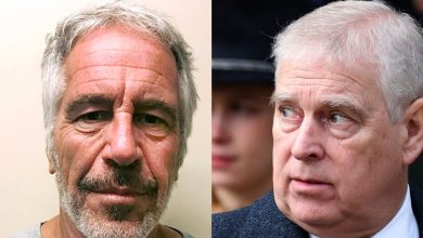 Jeffrey Epstein list: Court doc reveals Prince Andrew spent 'weeks' at Epstein's residence