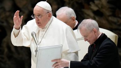 Pope Francis on ideological splits in Church: Focus on poor, not 'theory'