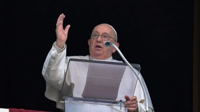 ‘Deplorable’: Pope Francis urges global ban on surrogacy