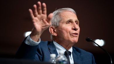 Covid-19 social distancing was not based on scientific data, Fauci admits