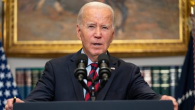 ‘Unconstitutional’: Democrats lambast Biden over strikes on Houthis in Yemen without Congress permission