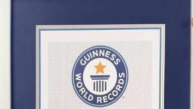Guinness World Records suspends 'oldest dog ever' title for Portuguese canine during review