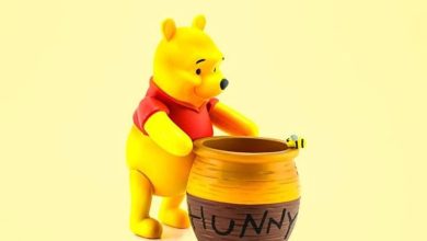 National Winnie The Pooh Day: How to observe January 18 with your beloved cuddly bear