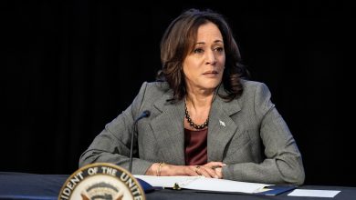 ‘I am scared as heck’; Kamala Harris on possibility of Trump's WH return, urges democrats to fight back