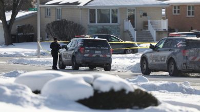 8 people shot dead at three locations near Chicago, suspect absconding: Illinois Police