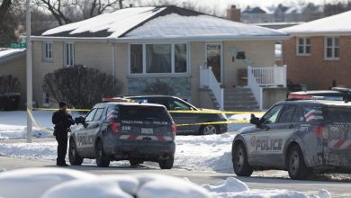 Man guns down wife and 3 adult daughters inside Chicago suburb home, 911 dispatcher describes bloodshed as ‘massacre'