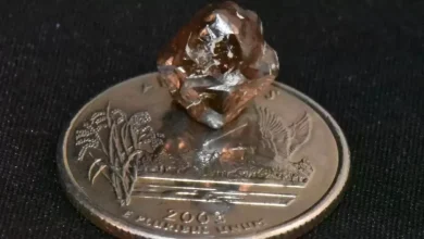 French tourist discovers massive 7.46-carat diamond on US road trip. Wanna try your luck?