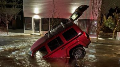 Washington couple's car plunges into sinkhole, shocking video emerges: ‘Felt like the movies’