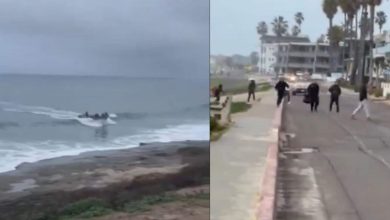 La Jolla: Video shows illegal migrants arrive onshore California beach | Watch
