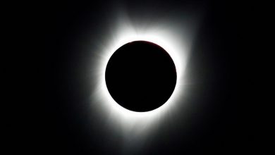 Total solar eclipse 2024: Celestial event will be visible in these US states