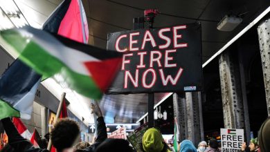'Israel ceasefire activists spreading Putin's message', Nancy Pelosi seeks probe into pro-Palestine supporters' funding