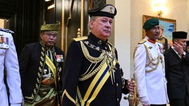 Malaysia's new king owns Boeing 737, private army