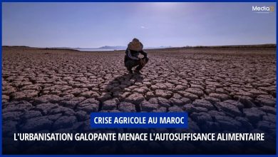 Crise Agricole au Maroc