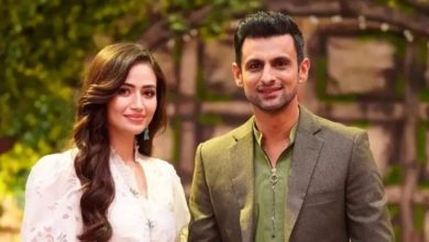 Shoaib Malik's 2023 birthday post for Sana Javed goes viral soon after wedding