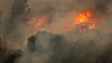 Massive forest fire in central Chile kills 46; toll likely to rise