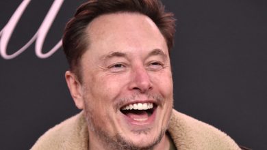 Elon Musk's 'drug use', ties with directors, board inaction: What report says