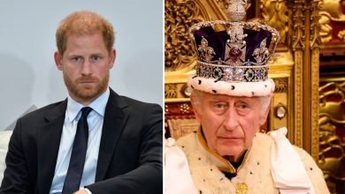 Prince Harry is rushing back to UK after King Charles' shocking cancer diagnosis