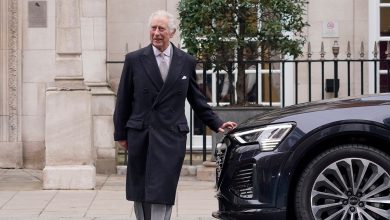 What happens if King Charles III, diagnosed with cancer, is no longer able to work