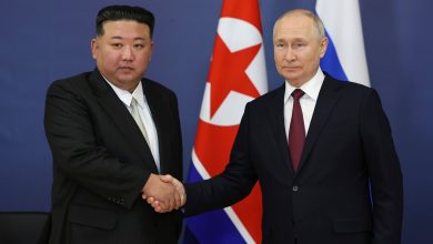 Vladimir Putin will sign package of agreements during North Korea visit: Russian envoy
