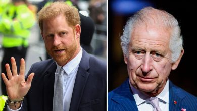 King Charles delayed helicopter flight to Sandringham so he could meet Prince Harry after cancer diagnosis: Report