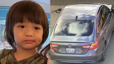 California toddler rescued after overnight abduction drama; here's how a young woman located him