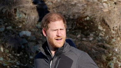 Prince Harry on King Charles' cancer in new interview: ‘Could help…’