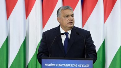 Hungary's ‘good news’ for Sweden's NATO bid: ‘Going in direction of…’