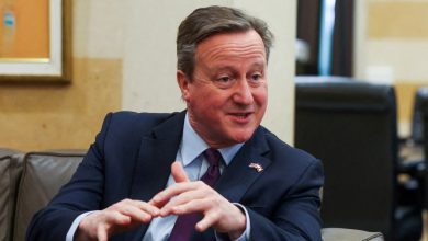 David Cameron laughs off Marjorie Taylor Greene's criticism over Ukraine aid; 'We didn't get anatomical'