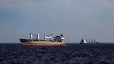 UK-registered cargo ship attacked in Bab al-Mandab Strait: Report