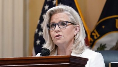 Liz Cheney warns of Republican Party ‘Putin wing’ after Donald Trump's response to Alexei Navalny's death