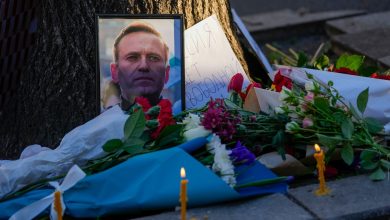 Probe into Alexei Navalny's death ongoing: Kremlin