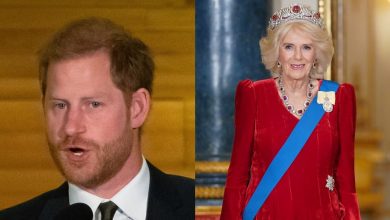 Queen Camilla ‘told to leave’ Prince Harry after King Charles' cancer visit