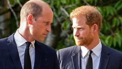 Is Prince Harry homesick? ‘Considers returning to UK’ as he ‘misses’ working royal life