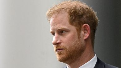 Prince Harry US Visa case: Bombshell drug confession in memoir Spare to be addressed in court today
