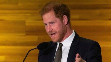 Prince Harry may have lied to sell more copies of tell-all memoir Spare, federal lawyers tell court
