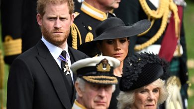 King Charles may send Royal Family's ‘secret weapon’ to sort Prince Harry-Meghan Markle drama, expert says