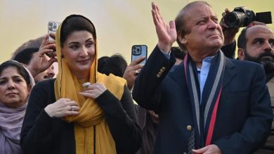 Who is Maryam Nawaz, newly elected chief minister of Pakistan's Punjab province?