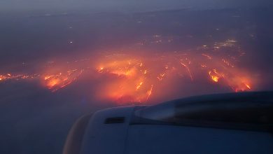 Wildfires ravage Texas panhandle, emergency declared