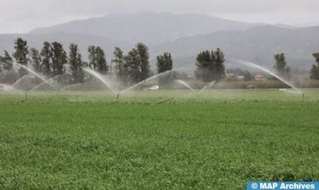 Government Focuses on Innovative Solutions for Rational Water Resource Management in Agriculture – Spokesperson