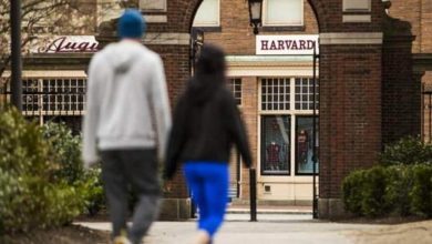 Harvard professor resigns from antisemitism task force over doubts about school's commitment; Bill Ackman reacts