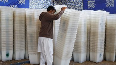 Pakistan Election 2024 Live Updates: Mobile services suspended, reports Dawn