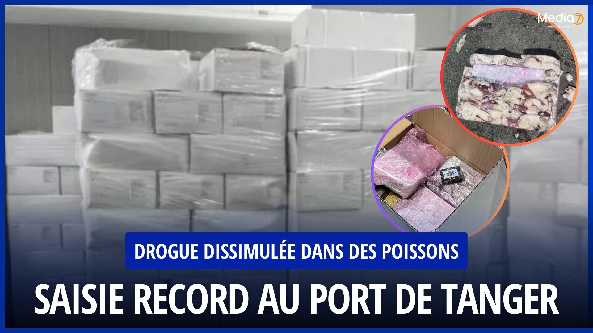 Record Seizure of Cannabis Concealed in a Load of Fish at the Port of Tangier