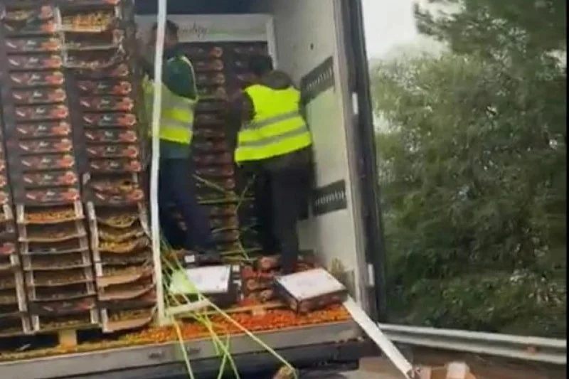 Spanish Farmers Attack Moroccan Tomato Truck