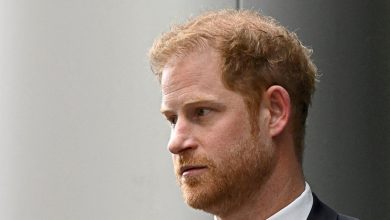 What will happen if a federal judge reviews Prince Harry's visa papers personally?