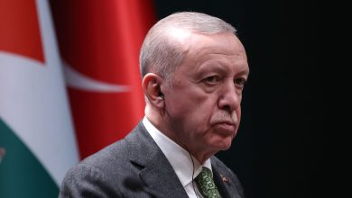 Turkey firmly backs Hamas leaders, says President Erdogan