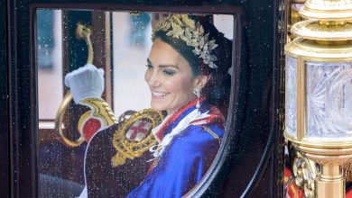 Netizens notice missing wedding ring in now deleted Kate Middleton image, conspiracy theories float