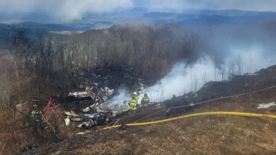 5 killed as private jet crashes, bursts into flames during emergency landing in Virginia