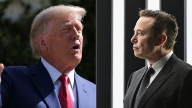 Trump reveals if Elon Musk would support his re-election bid, admits he views Facebook as 'an enemy of the people'
