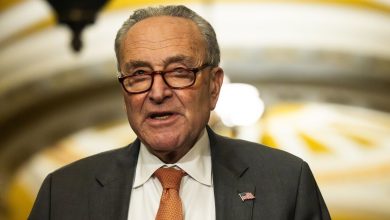 Old clip of Chuck Schumer slamming ‘illegal aliens’ resurfaces, social media says ‘now they change their position’