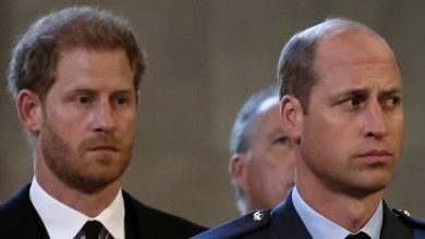 Princess Diana would be ‘devastated’ by ongoing situation between Harry and William, ex-butler says